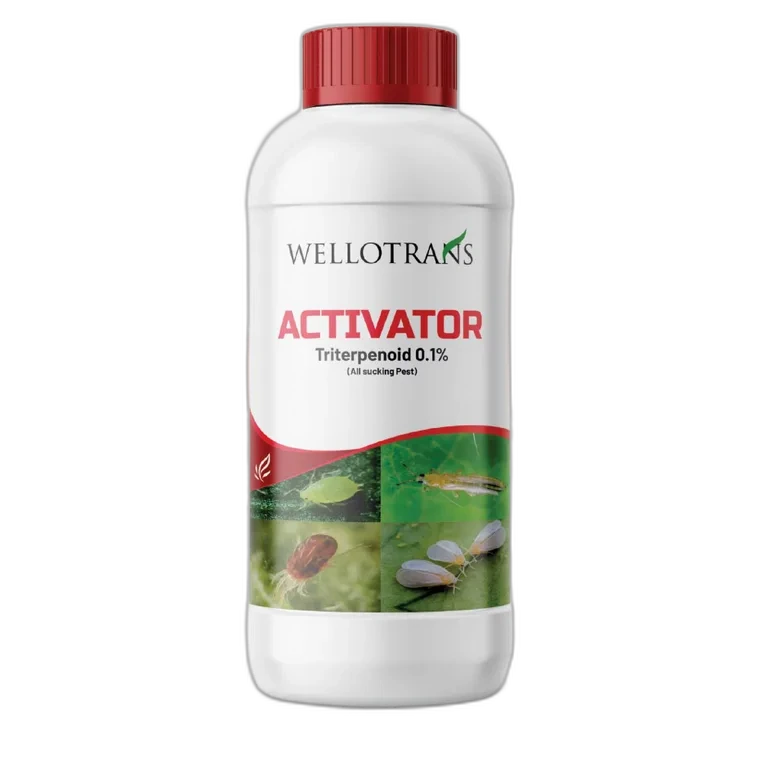 Activator