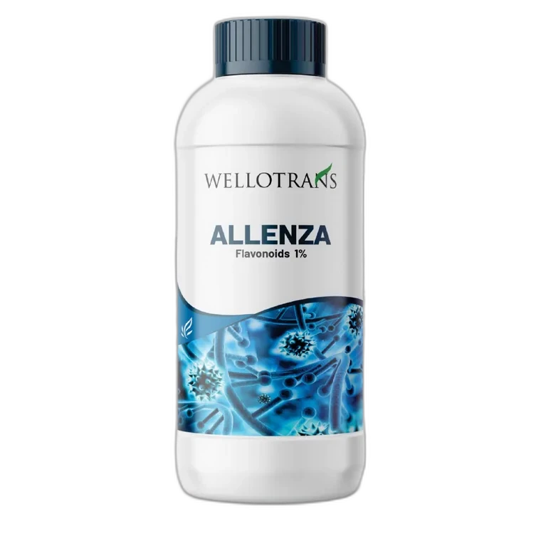 Allenza