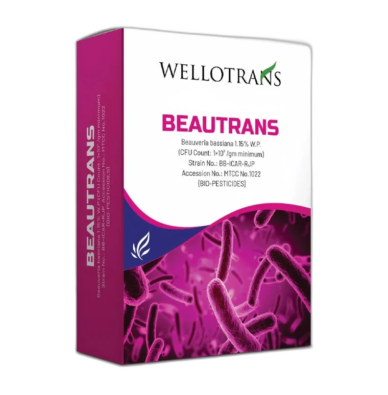 Beautrans