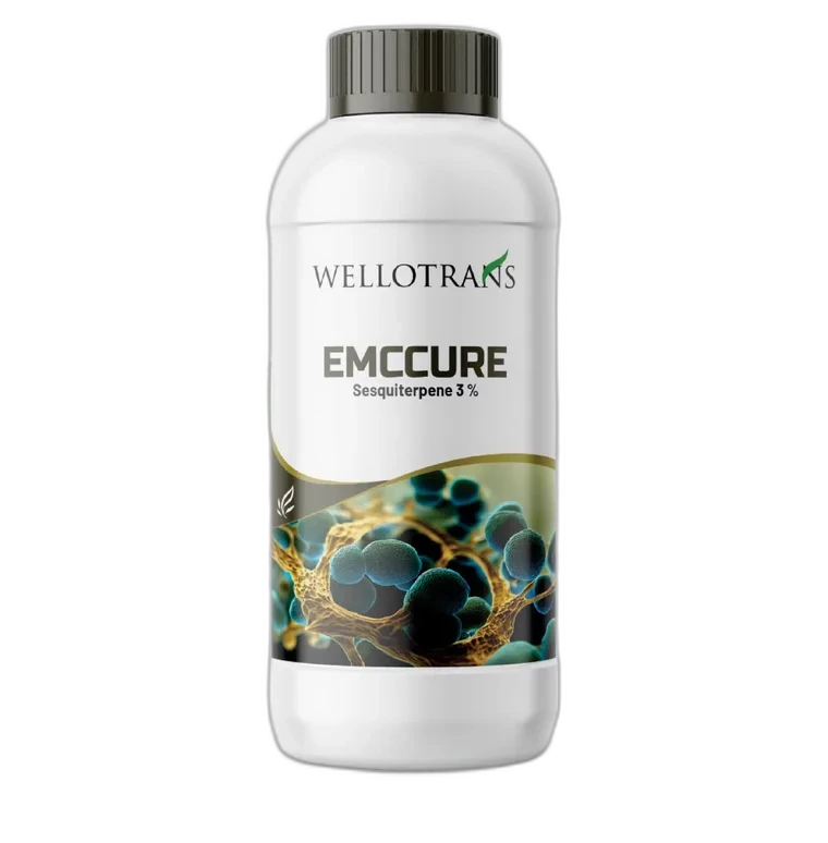 Emccure
