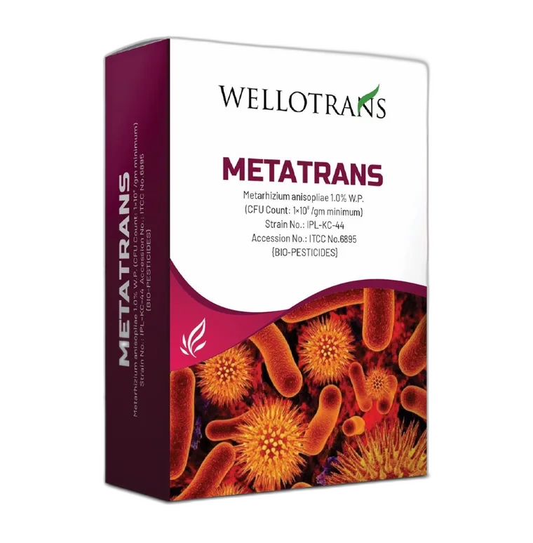 Metatrans