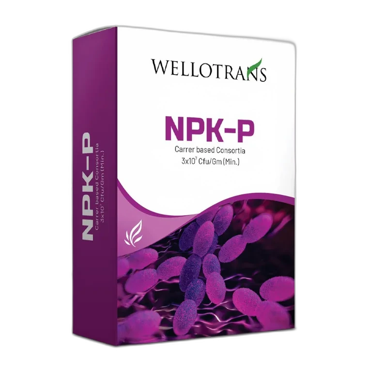 NPK-P