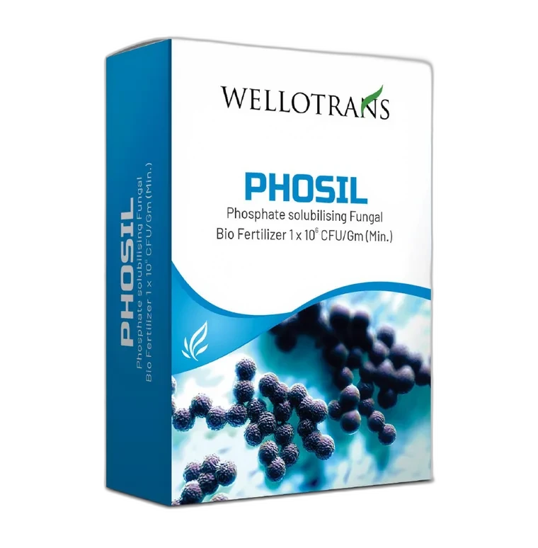 Phosil