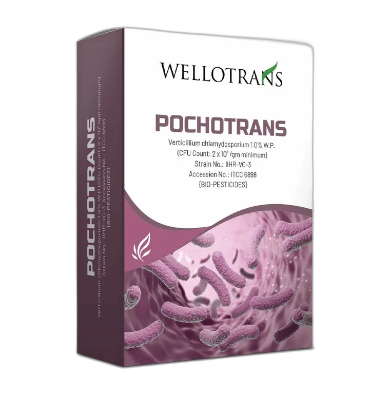 Pochotrans