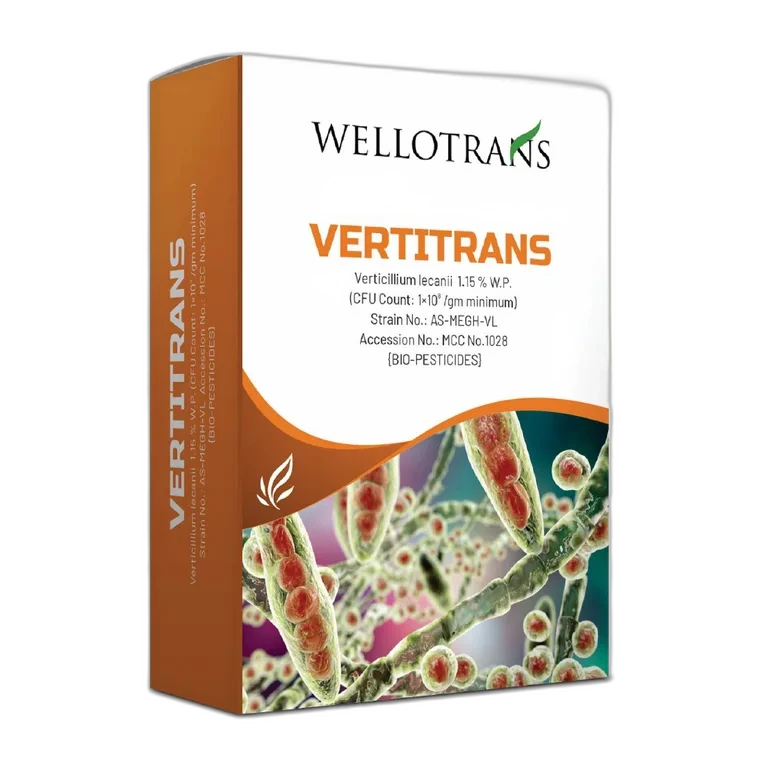 Vertitrans