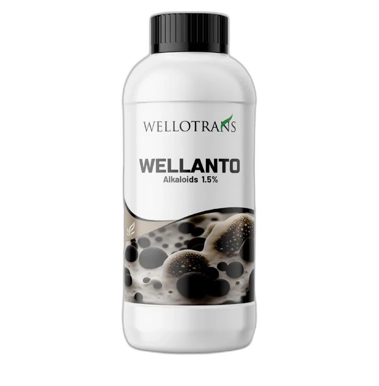 Wellanto