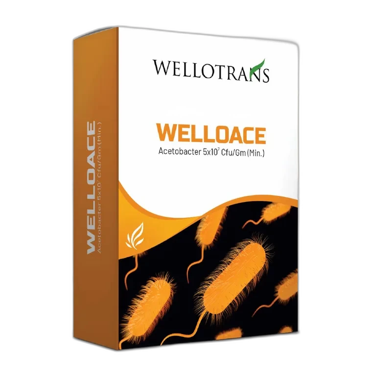 Welloace