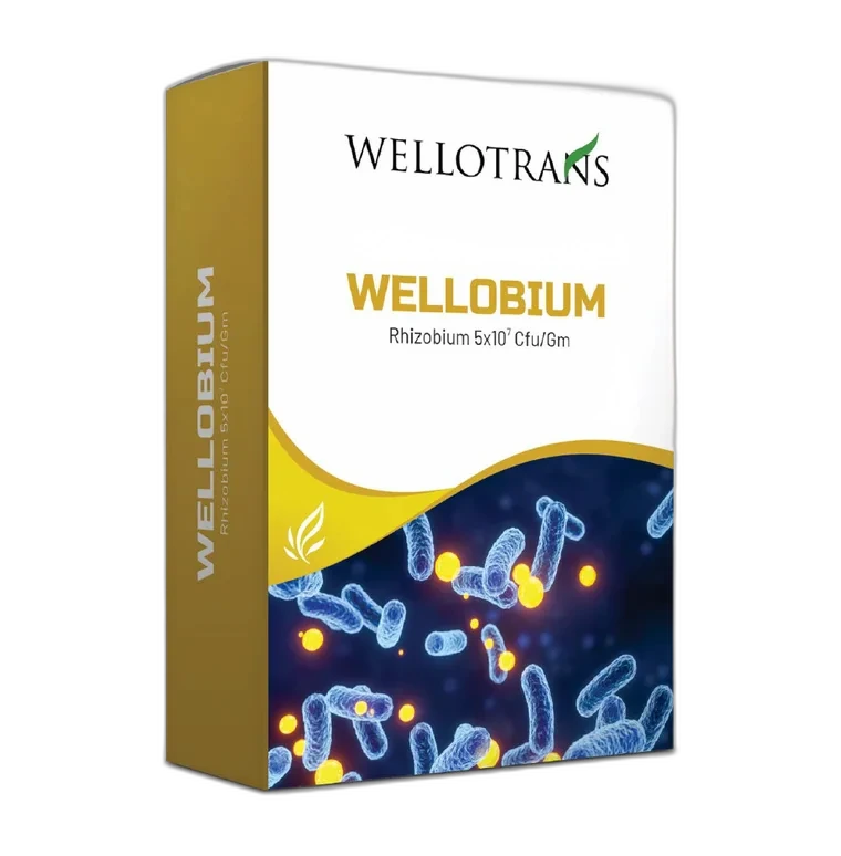 Wellobium