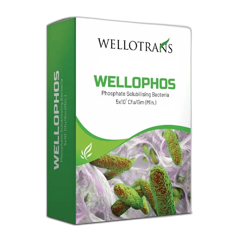 Wellophos