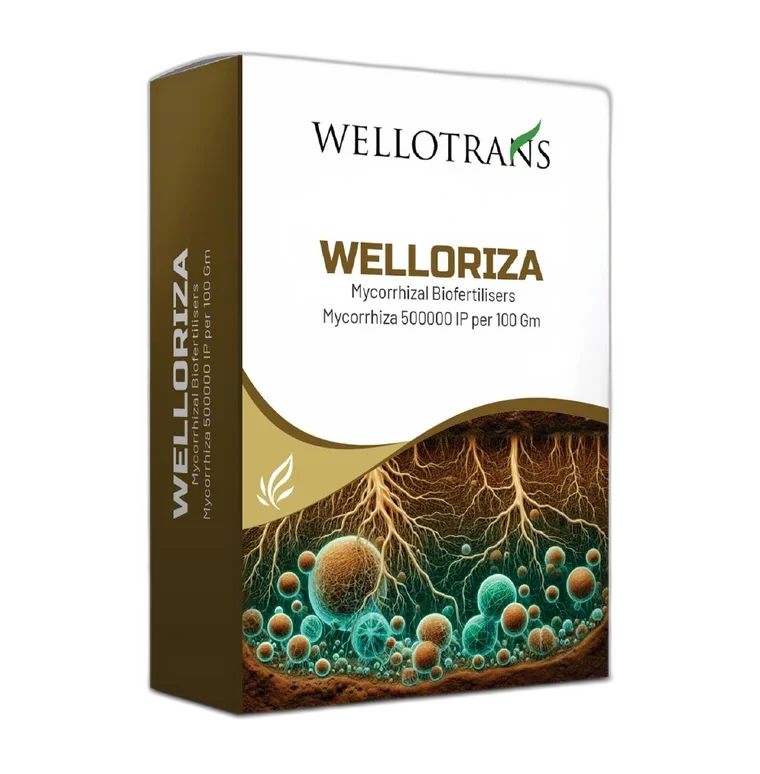Welloriza
