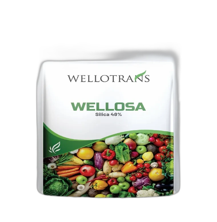 Wellosa