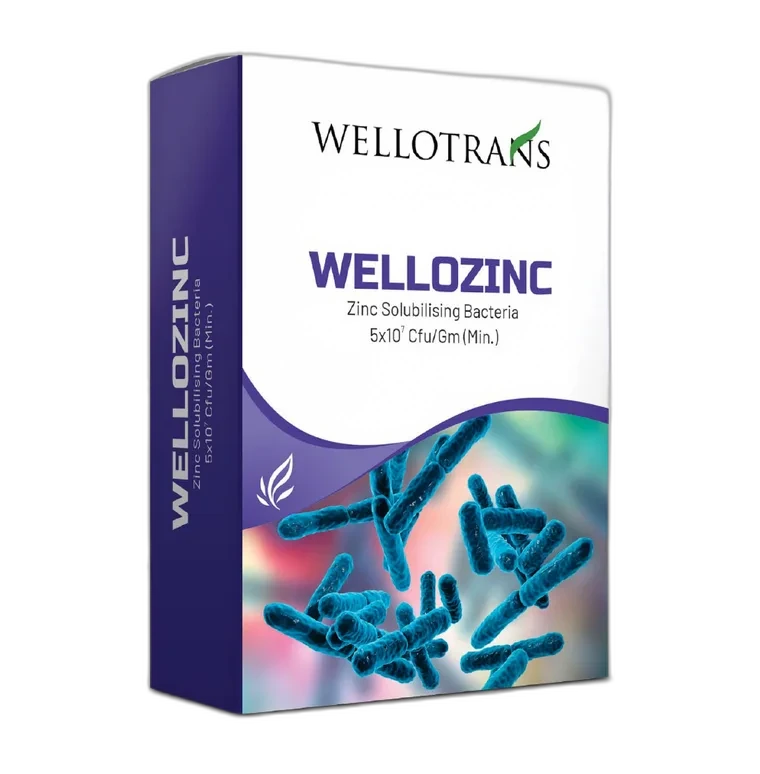 Wellozinc